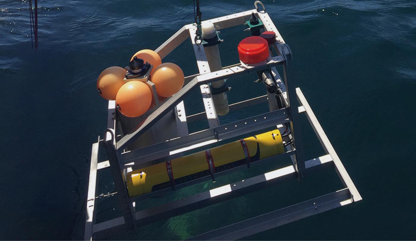 Neerlaten van echosounders om vanaf de zeebodem de zwemrichting te volgen van vissen, als reactie op onderwatergeluid.