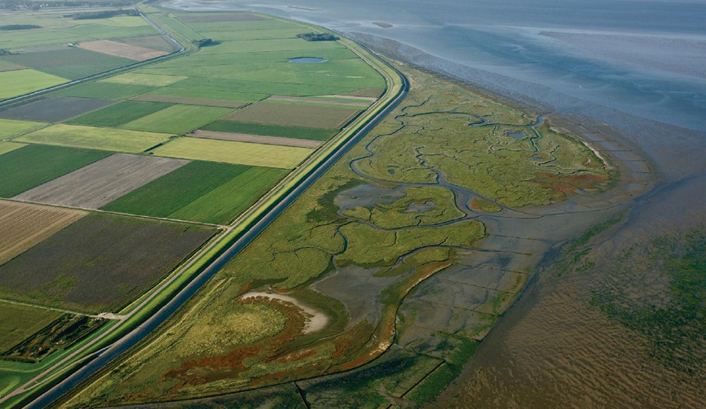 Foto van de kwelder op Texel.