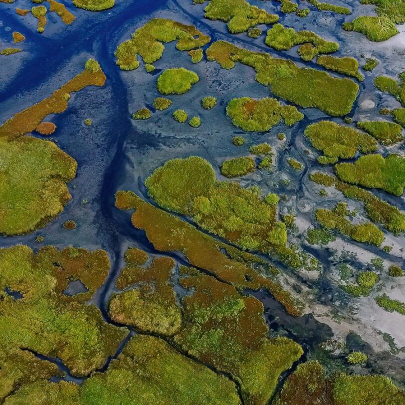 Natuurgebied met water