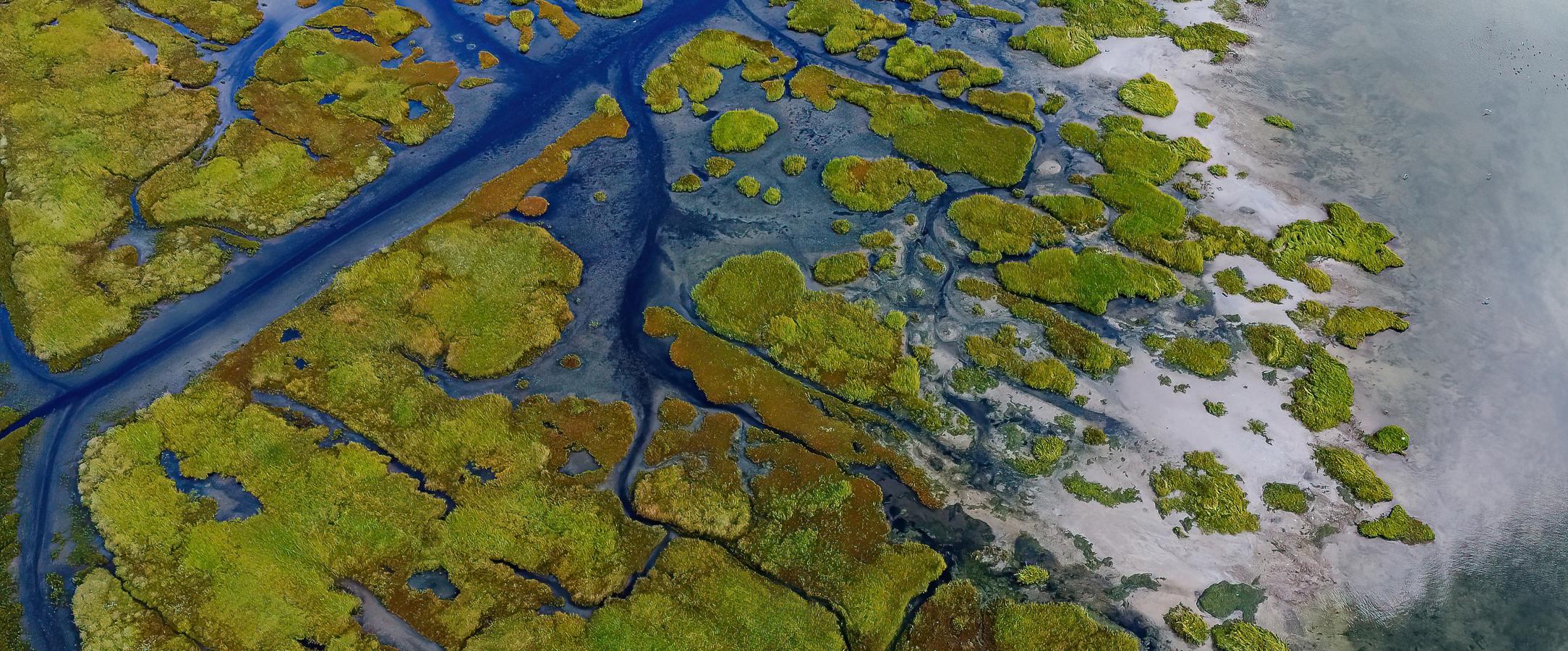 Natuurgebied met water